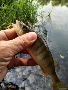 IMG_20230802_115150.jpg