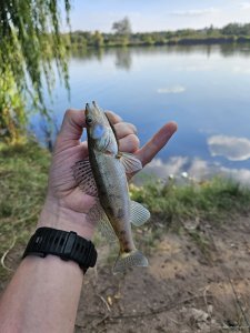 20230918_163040.jpg