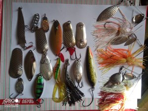 IMG_20231004_123129_186.jpg