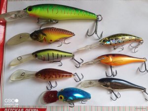 IMG_20231004_121943_672.jpg