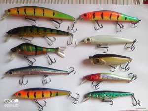 IMG_20231004_121734_193.jpg