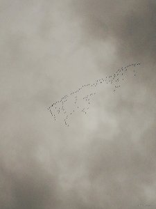 IMG_20231105_160924.jpg