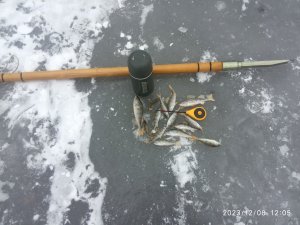 IMG_20231208_120528.jpg