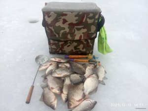 IMG_20231215_141757.jpg