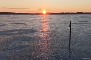 IMG_20231216_141101.jpg