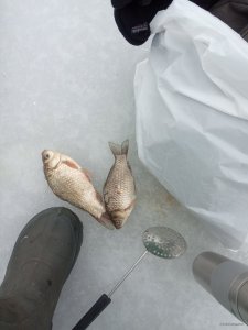 IMG_20231217_103946.jpg