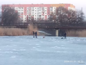IMG_20240131_163224.jpg