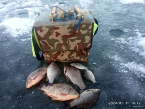 IMG_20240131_161230.jpg