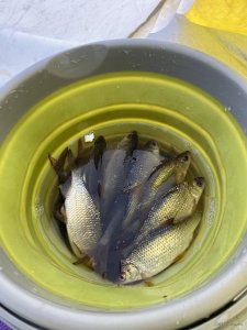 IMG_2617.JPG