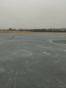 IMG_20240316_160836.jpg