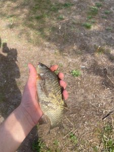 camphoto_1804928587.jpeg