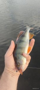 IMG_20240614_175310.jpg
