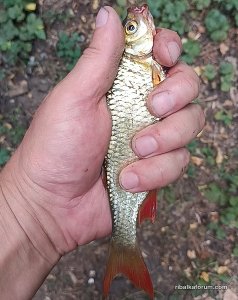 IMG_20240826_085551.jpg