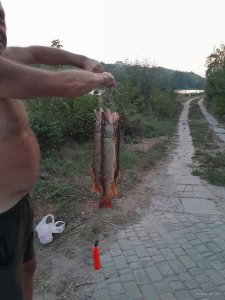 IMG_20240905_192546_036.jpg