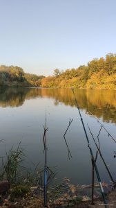 IMG_20241001_164507.jpg