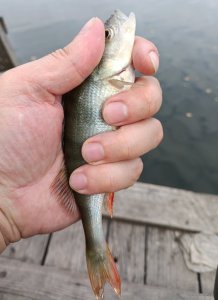 IMG_20241005_203108.jpg