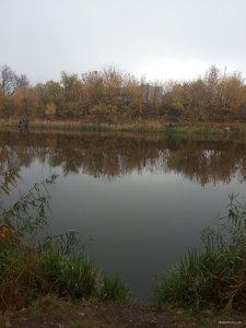 IMG_20241026_101355.jpg