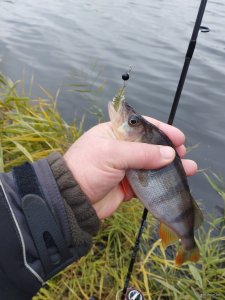 IMG_20241115_114420.jpg