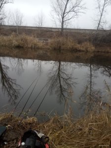 IMG_20241201_101216.jpg