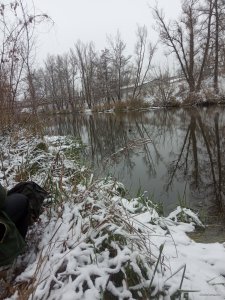 IMG_20241207_094920.jpg