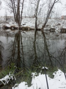IMG_20241207_094913.jpg