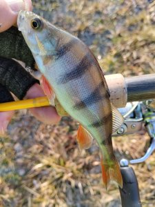 IMG_20250112_115910.jpg