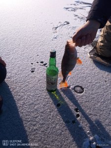 IMG_20250210_171103_577.jpg