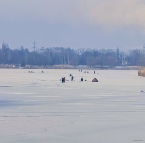 зображення_viber_2025-02-12.jpg