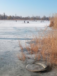 20250213_123346.jpg