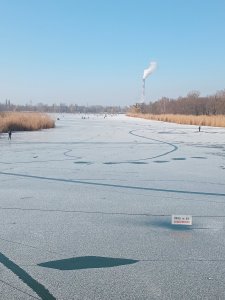 20250213_121620.jpg