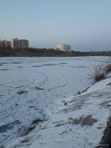 IMG_20250213_185700_931.jpg