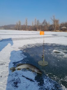 IMG_20250214_111808_405.jpg