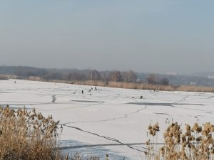 IMG_20250214_093511.jpg