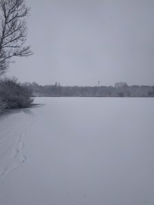 IMG_20250215_095625.jpg