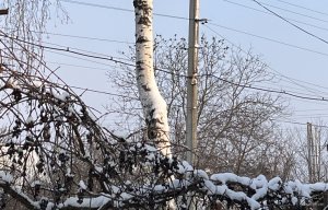 IMG_0069.jpeg