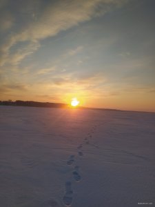 IMG_20250219_065023.jpg