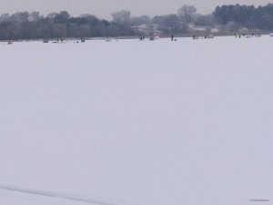 IMG_20250221_071651.jpg