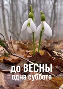 IMG-4691eb3df0d4982abd8b31018c05fc5d-V.jpg