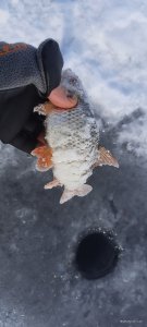20250223_124851.jpg