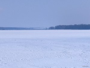 IMG_20250226_101524.jpg