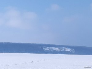 IMG_20250226_101516.jpg