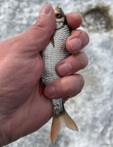 IMG_0130.jpeg