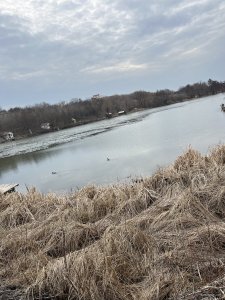 IMG_0205.jpeg