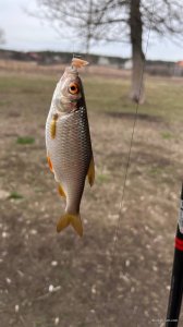 IMG_20250315_154006_859.jpg