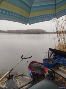 IMG_20250316_091923.jpg
