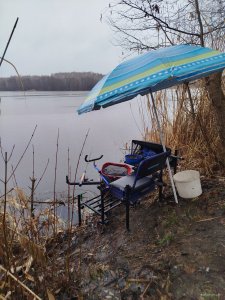 IMG_20250316_091907.jpg