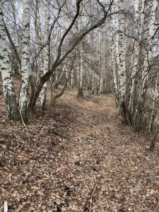 IMG_0211.jpeg