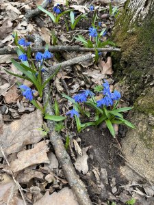 IMG_0215.jpeg