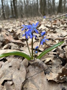 IMG_0216.jpeg