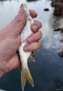 IMG_0243.jpeg